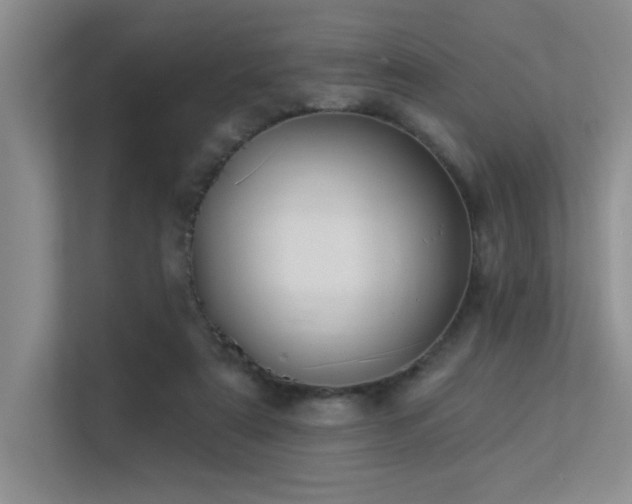X0000113360307200909151241