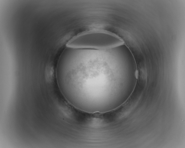 X0000113360308200909151241