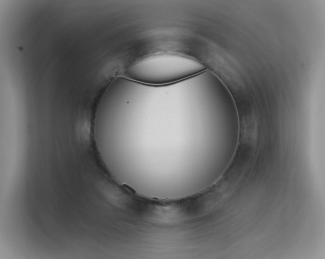 X0000113360309200909151241
