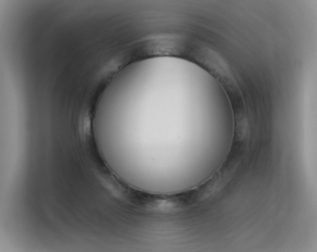 X0000113360310200909151241