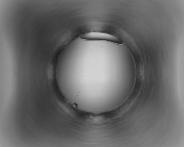 X0000113360311200909151241