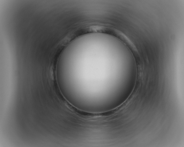 X0000113360313200909151240