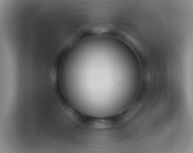 X0000113360315200909151240