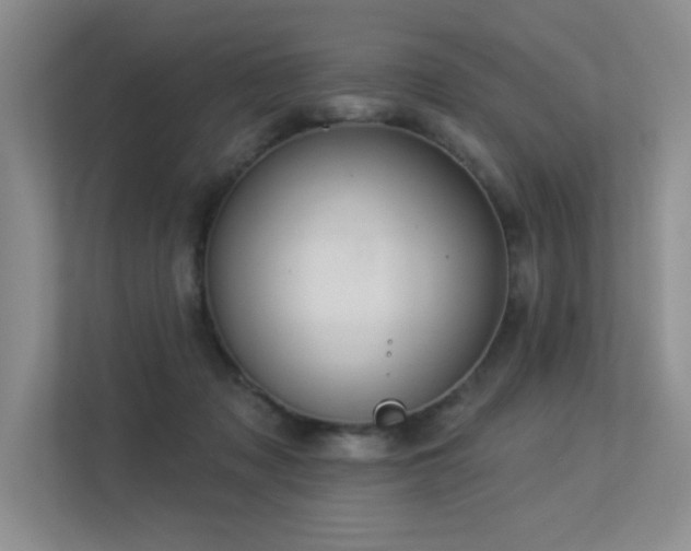 X0000113360317200909151240