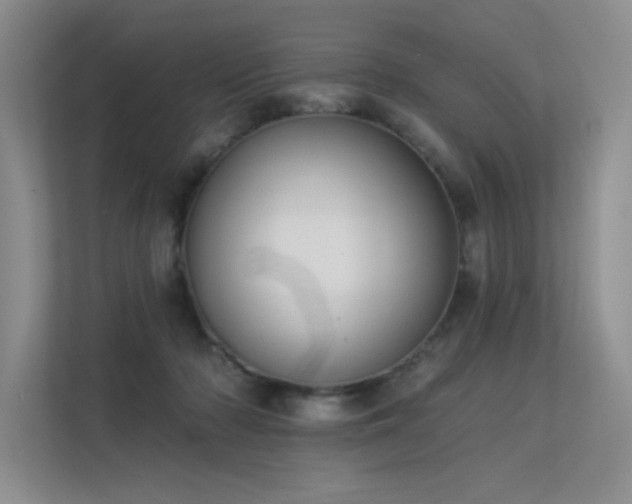 X0000113360318200909151240