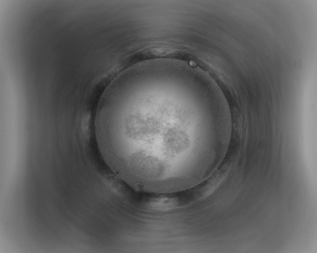 X0000113360319200909151240
