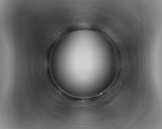 X0000113360320200909151240