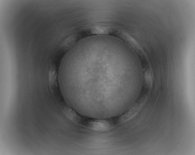 X0000113360322200909151240