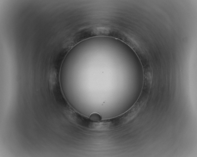 X0000113360323200909151240
