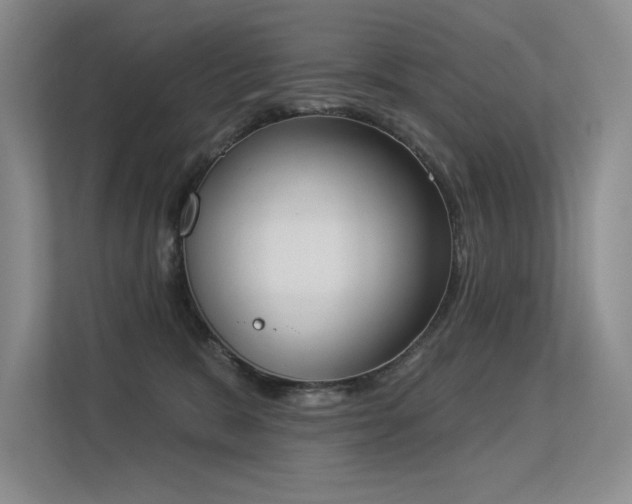 X0000113360327200909151240