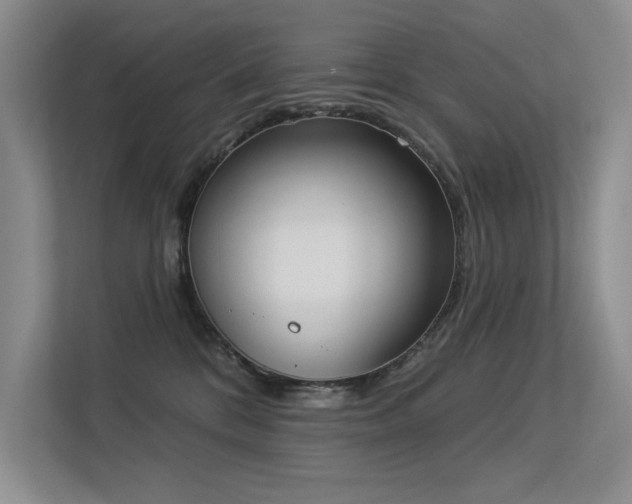 X0000113360328200909151240