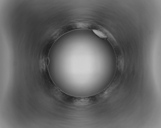 X0000113360329200909151240
