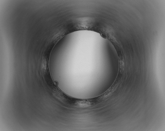 X0000113360331200909151240