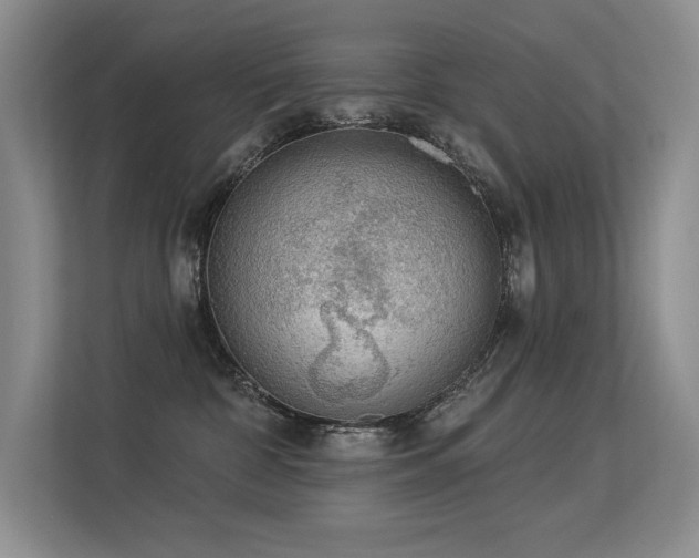X0000113360332200909151240