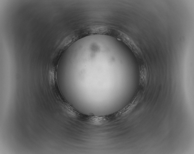 X0000113360333200909151240