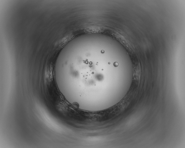 X0000113360334200909151240