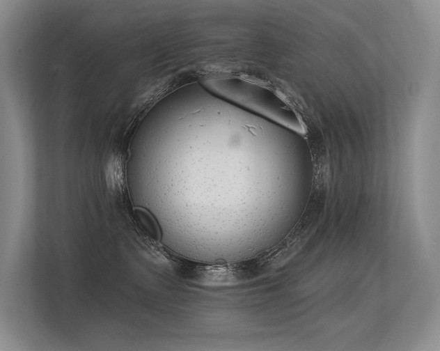 X0000113360335200909151240