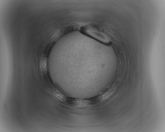 X0000113360336200909151240