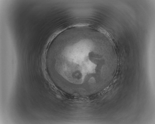X0000113360337200909151240