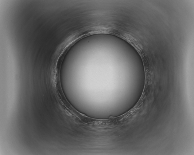 X0000113360338200909151240