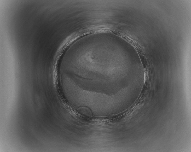 X0000113360339200909151240