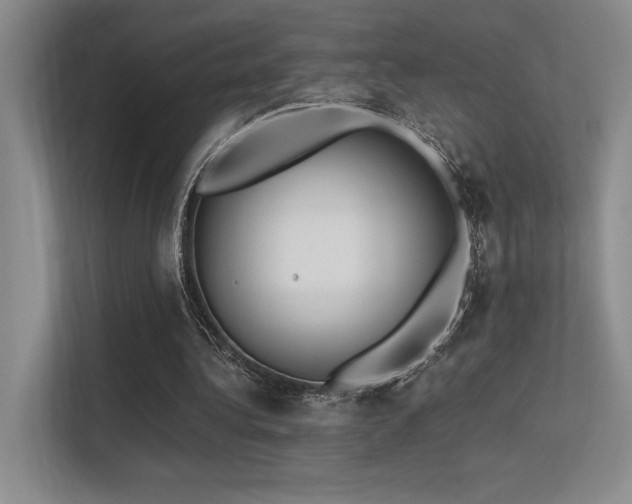 X0000113360340200909151240