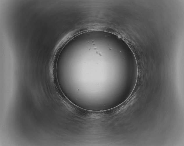 X0000113360341200909151240