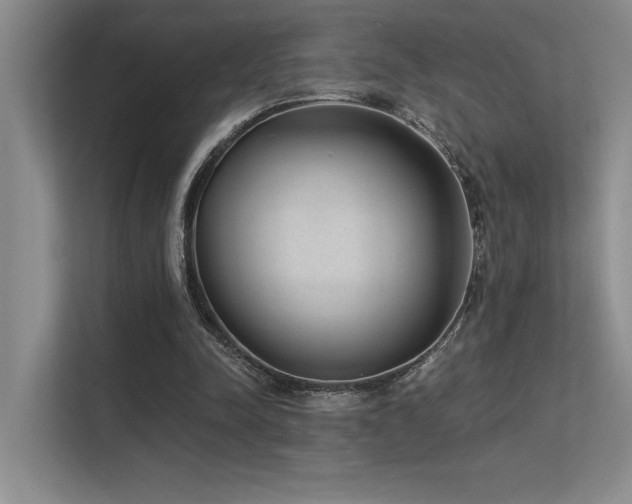 X0000113360342200909151240