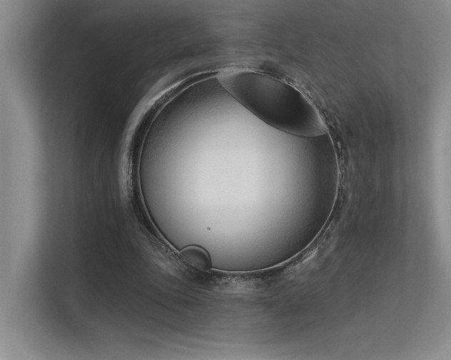X0000113360343200909151240