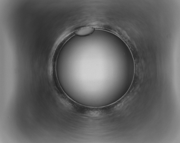 X0000113360344200909151240