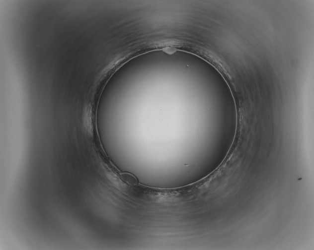 X0000113360345200909151240