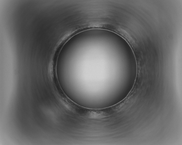 X0000113360346200909151240