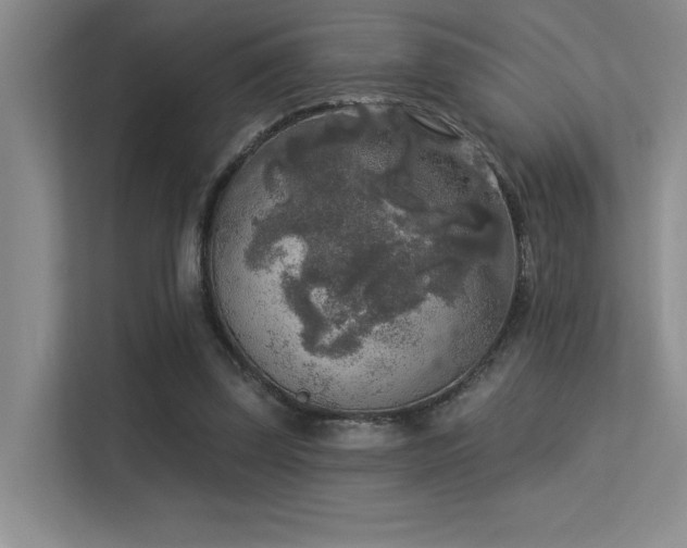 X0000113360347200909151240
