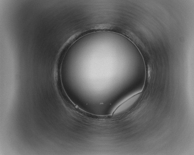 X0000113360348200909151240