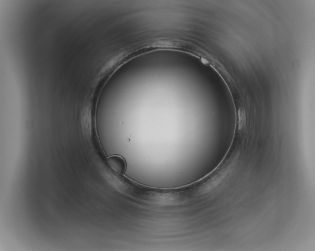 X0000113360349200909151240