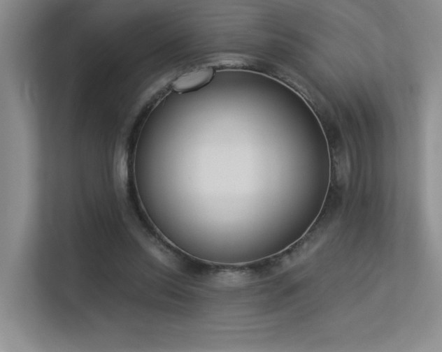 X0000113360350200909151240