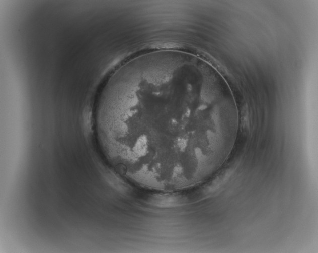 X0000113360351200909151240