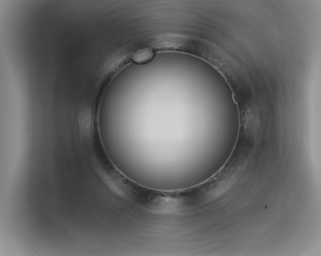 X0000113360352200909151240