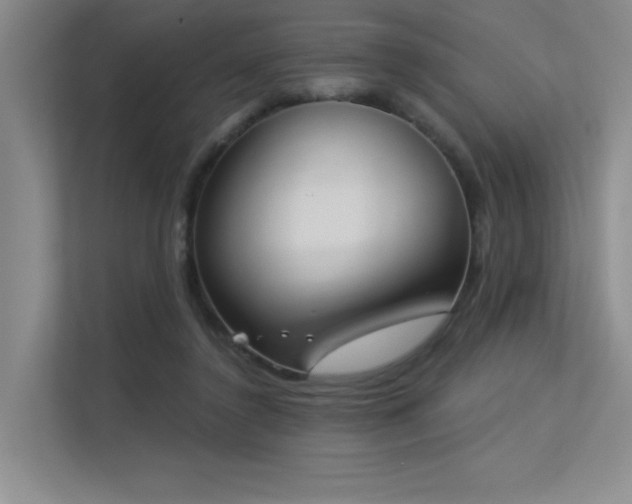 X0000113360356200909151240