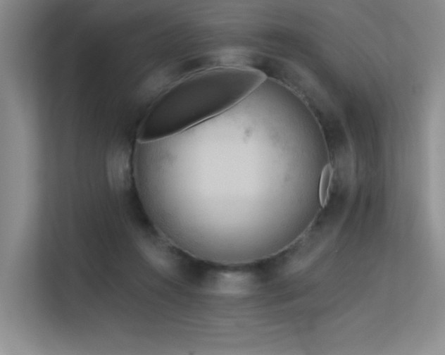 X0000113360360200909151240
