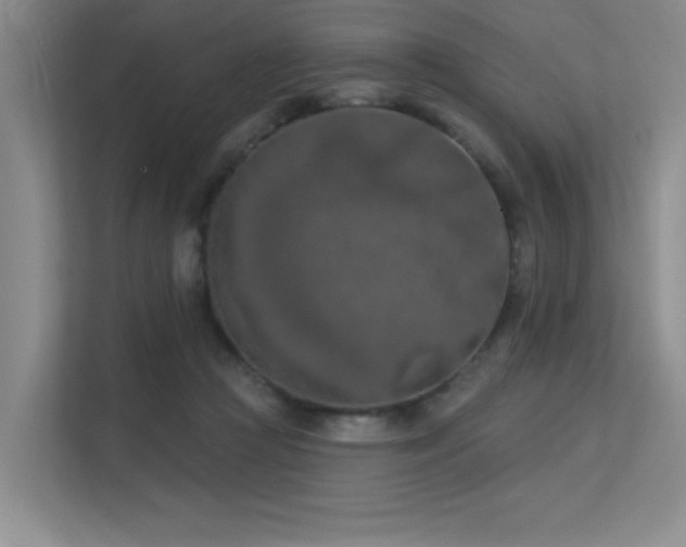 X0000113360361200909151240