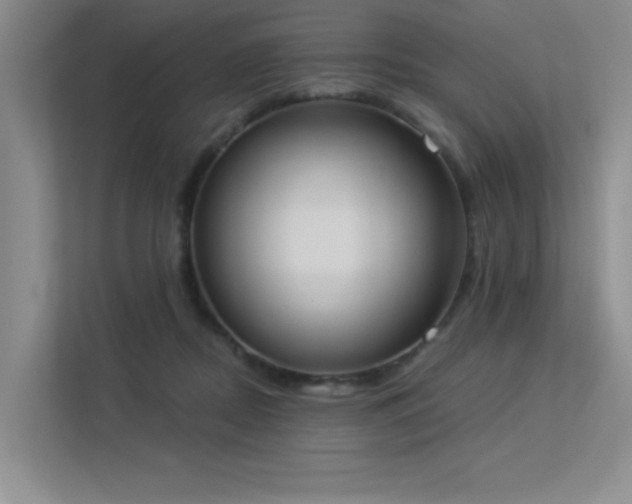 X0000113360362200909151240