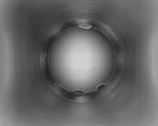 X0000113360364200909151240