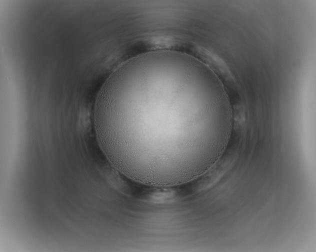 X0000113360369200909151240