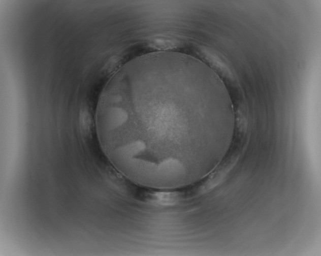 X0000113360371200909151240