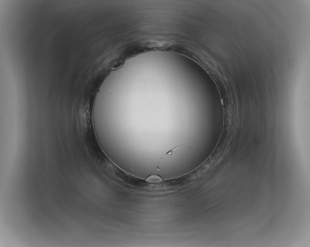 X0000113360376200909151240