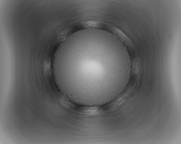 X0000113360377200909151240
