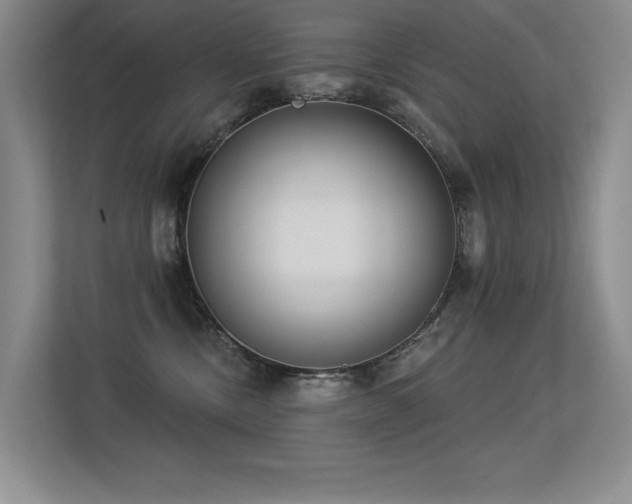 X0000113360378200909151240