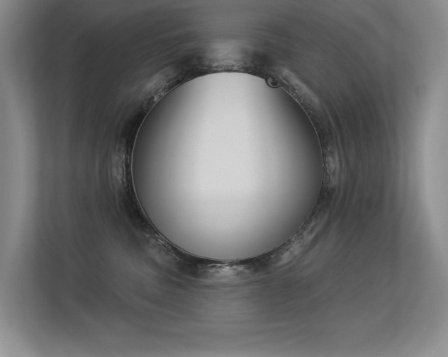 X0000113360379200909151240