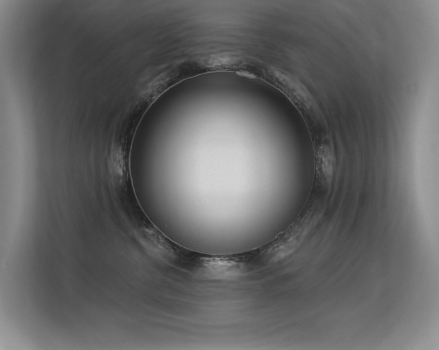 X0000113360380200909151240
